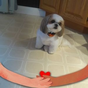 Meet your Posher, Mary